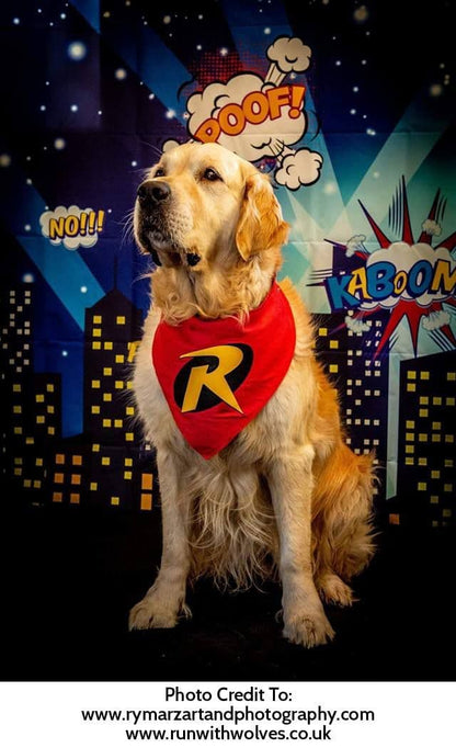 Sidekick Robin Red Dog Bandana