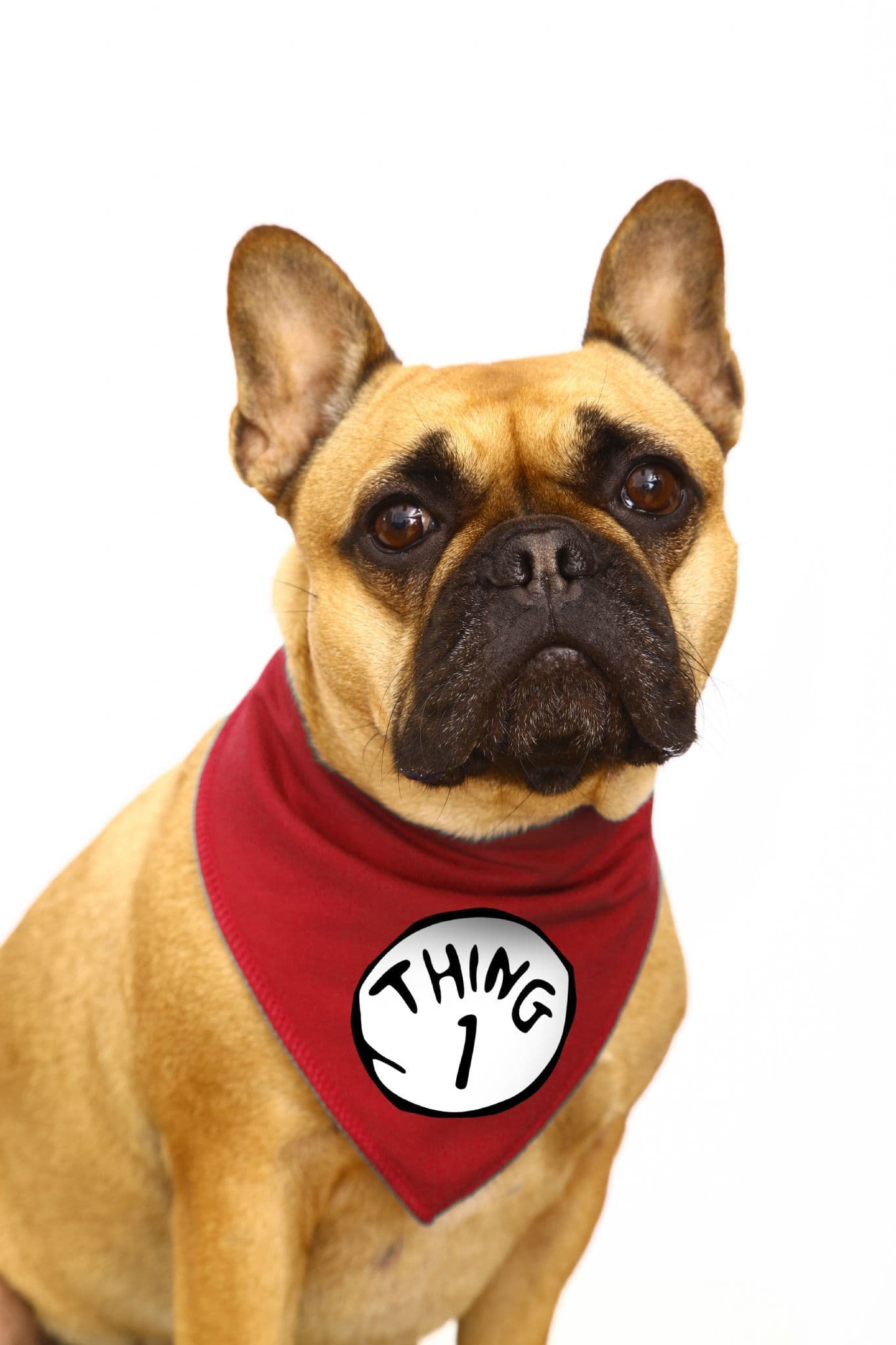 'Thing 1' Dr Zeuss Dog Bandana - All Numbers Available