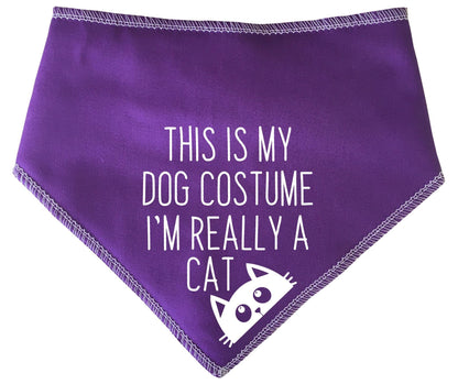 'This Is My Dog Costume' Halloween Dog Bandana