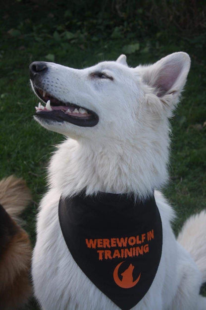 'Werewolf  In Training' Dog Bandana