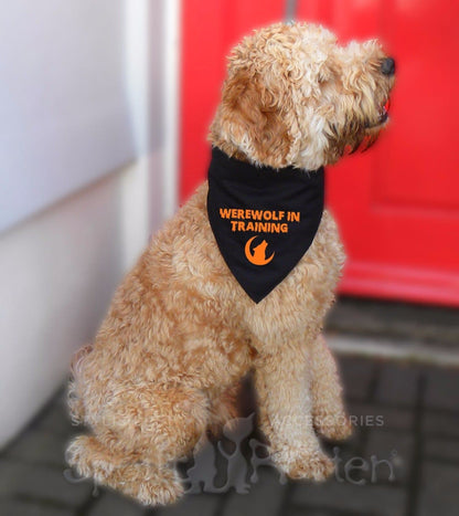 'Werewolf  In Training' Dog Bandana